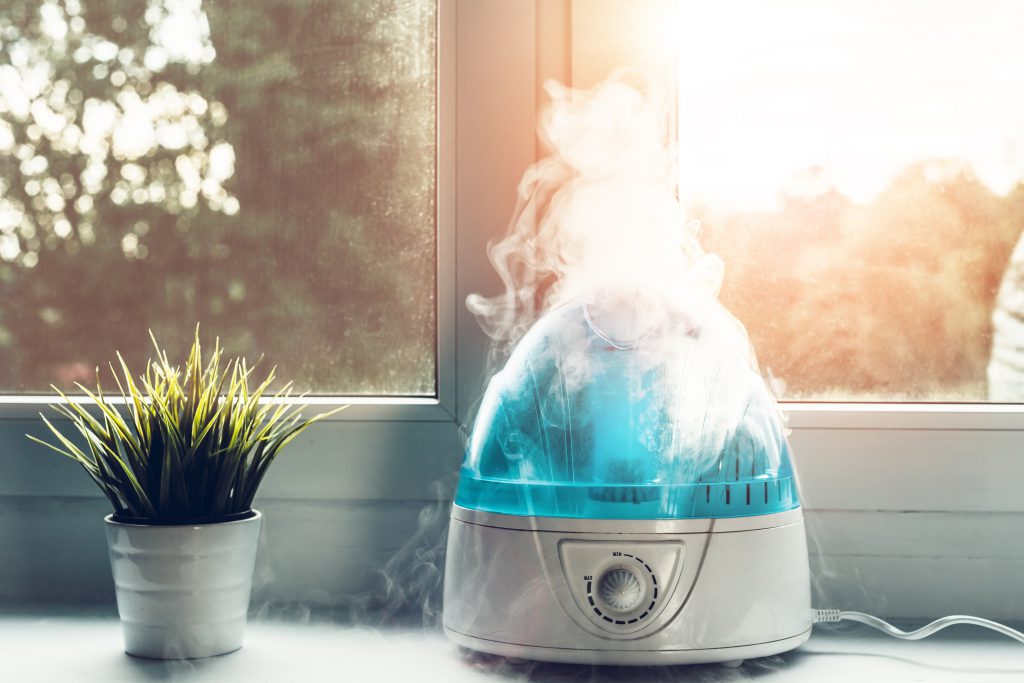 Umidificador de ar ligado ao lado de planta ilustrando artigo sobre a importância da umidade de ar ideal em casa