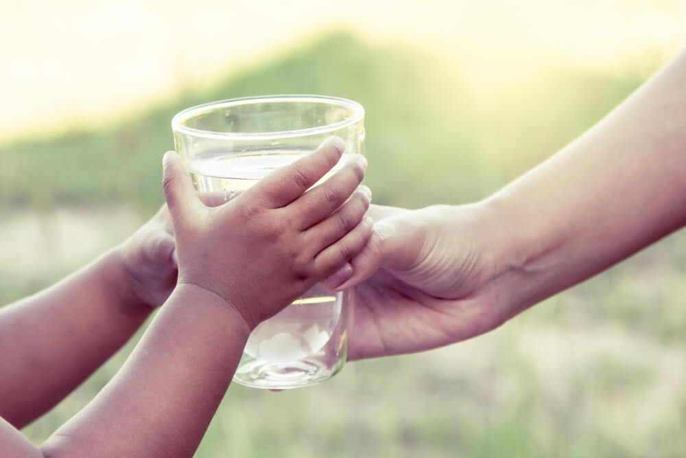 Bebedouro ou purificador de água: quais são as diferenças entre eles?