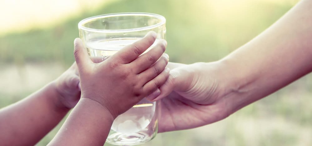 Bebedouro ou Purificador de Água: quais são as diferenças entre eles e como escolher o melhor?
