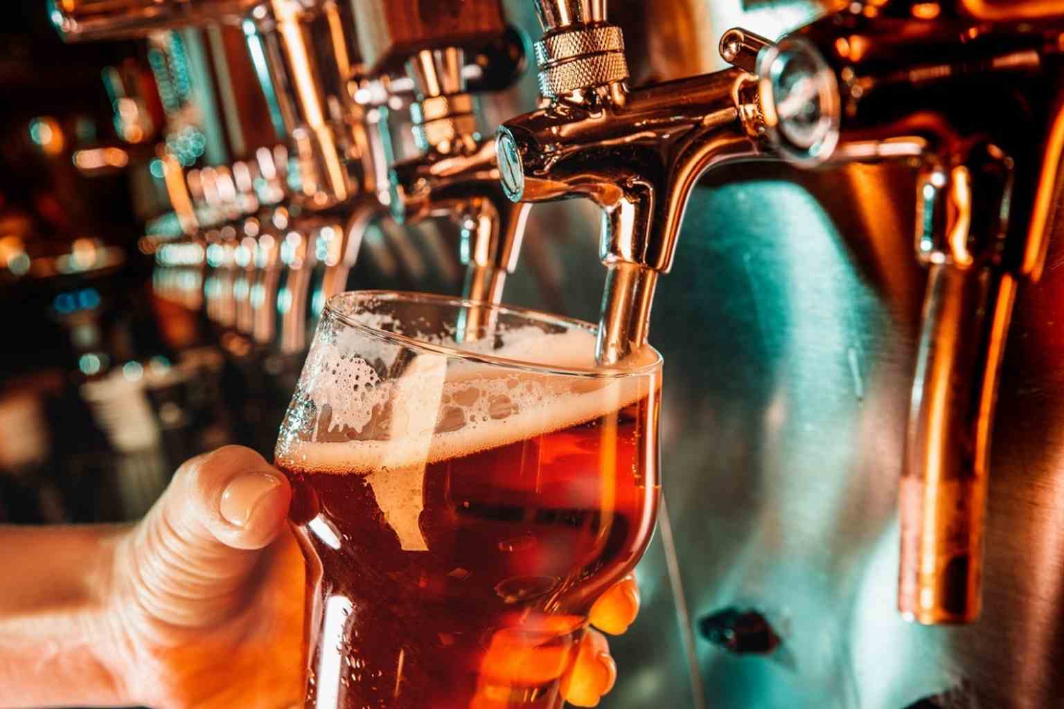 Câmara de Cerveja EOS: ideal para o seu comércio