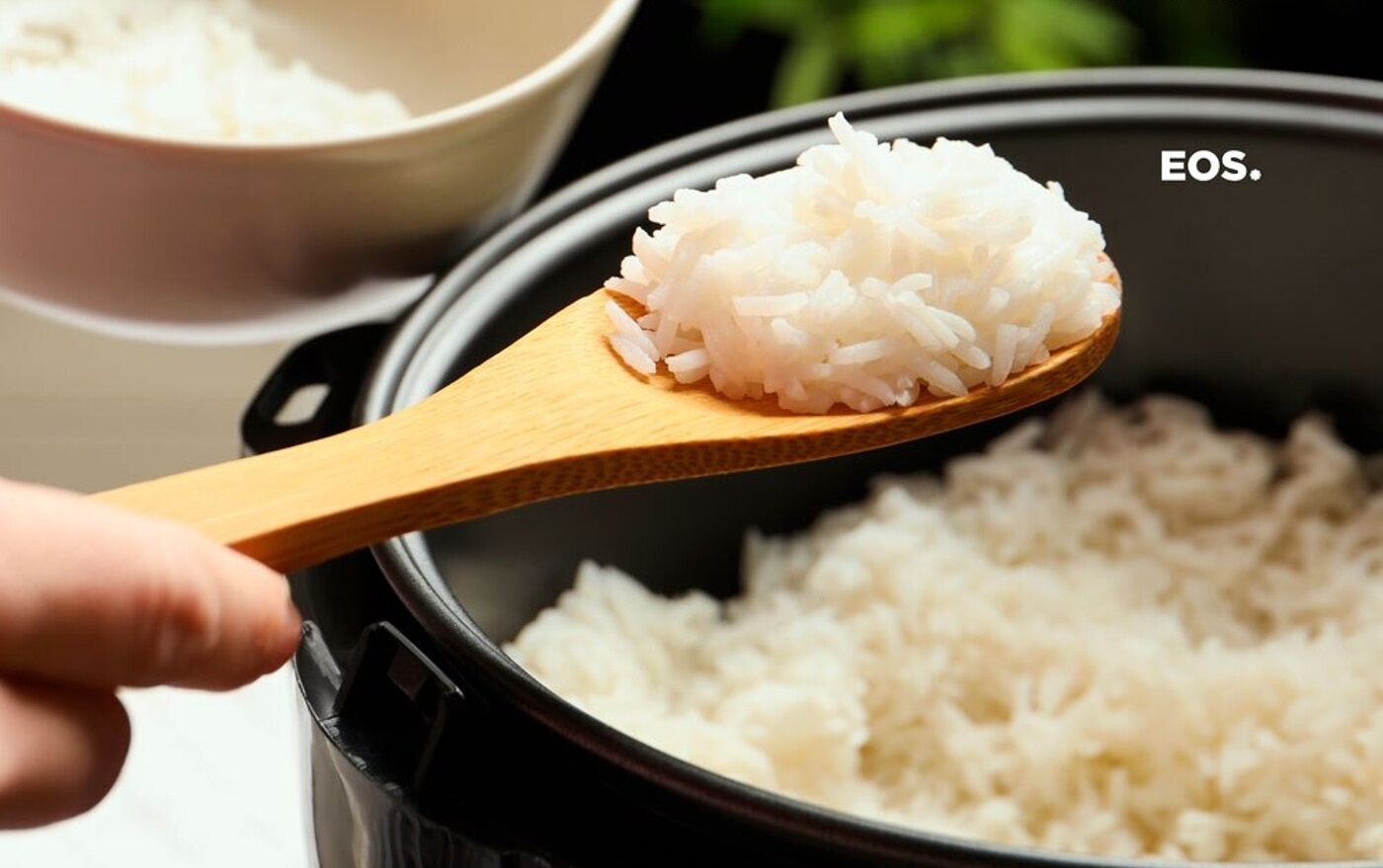 Panela elétrica de arroz EOS: Mais facilidade ao seu dia a dia