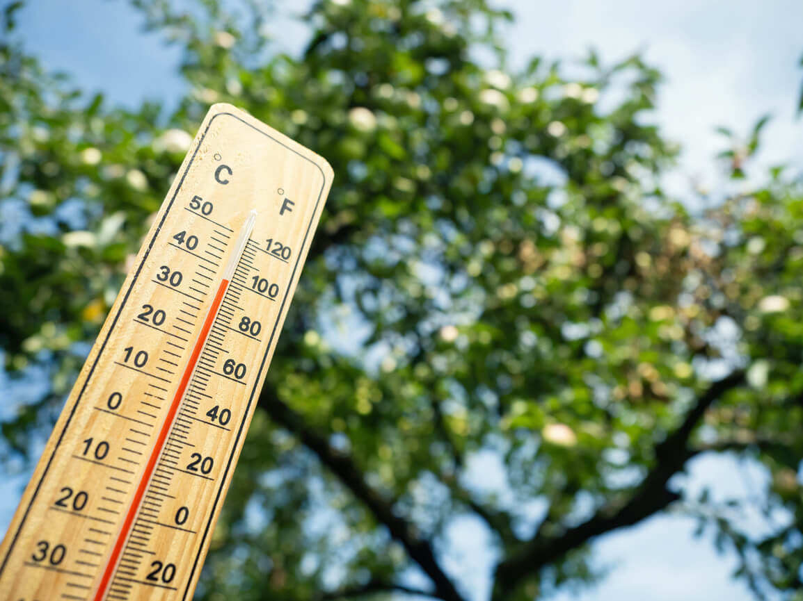 Como se preparar para as ondas de calor?