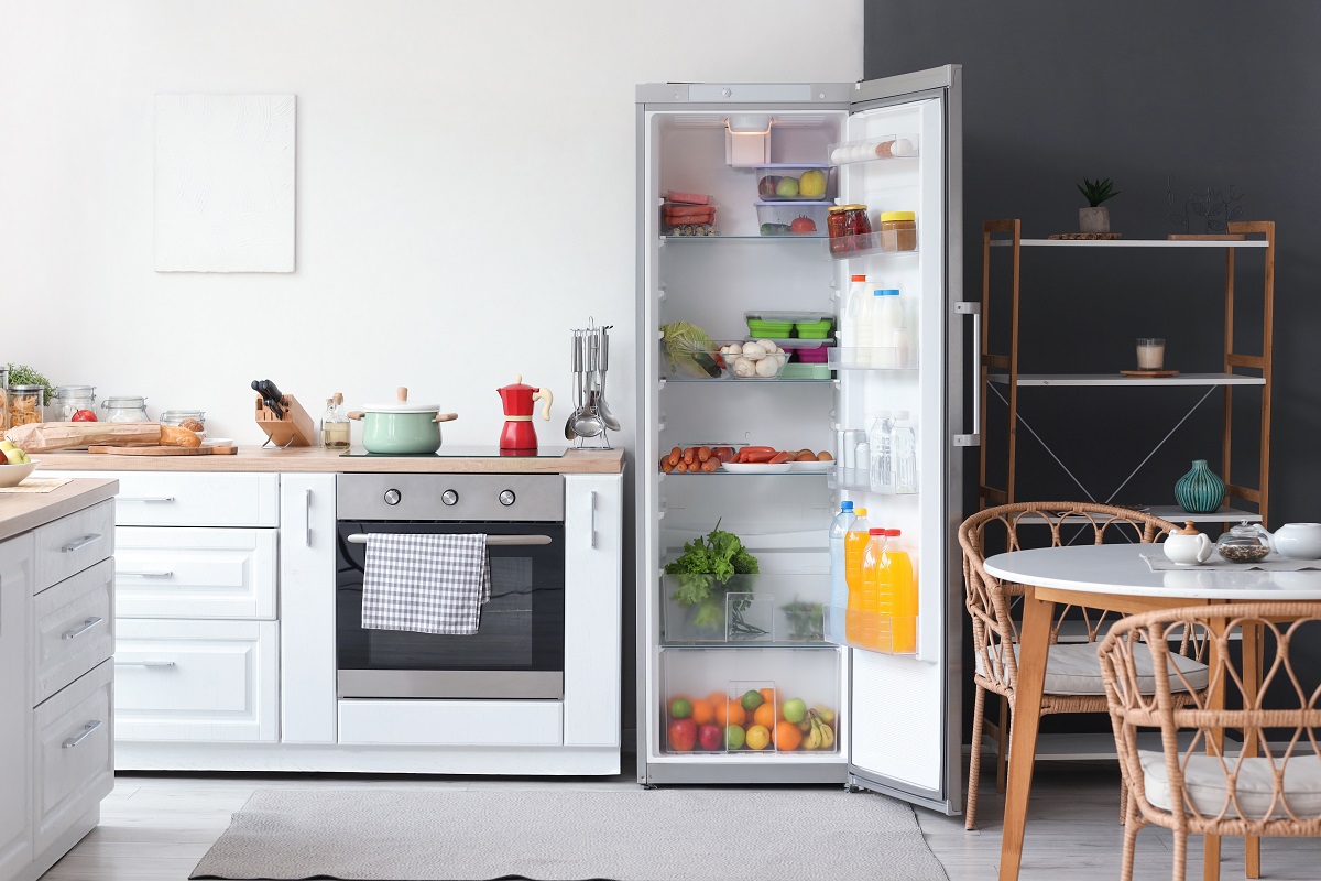 Geladeira ou Freezer: Qual a Melhor Opção para Armazenar Alimentos?