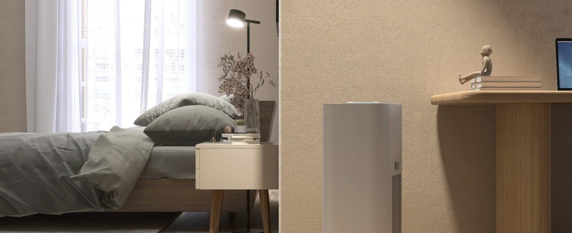 Como proteger livros, documentos e fotos da umidade com desumidificador de ar