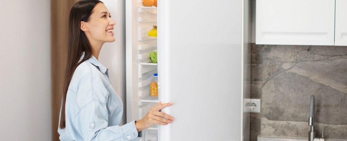 Como escolher a geladeira ideal para sua casa